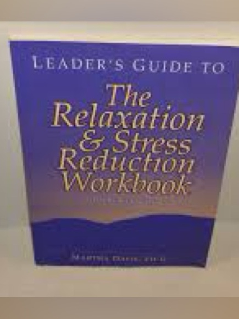 The Leader's Guide to Relaxation & Reduction Workbook 4th by Martha Davis Soft